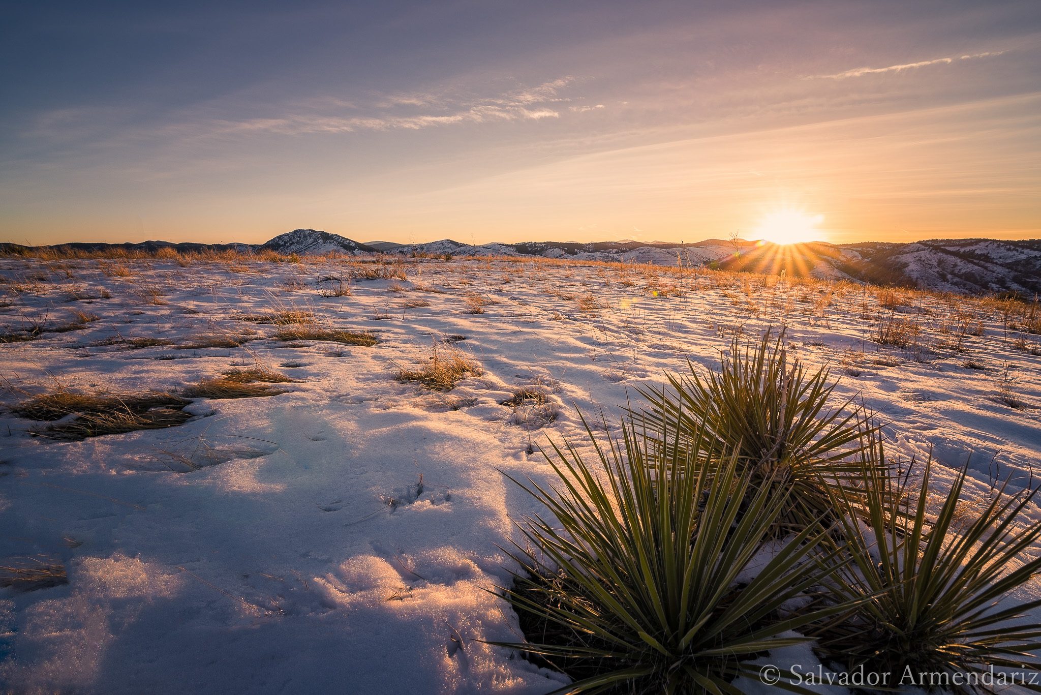 Green Mountain Denver Sound Immigration